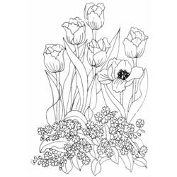 Disegno da colorare: Tulipano (Natura) #161669 - Pagine da Colorare Stampabili Gratuite