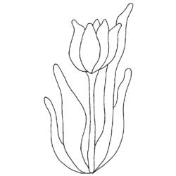 Disegno da colorare: Tulipano (Natura) #161677 - Pagine da Colorare Stampabili Gratuite