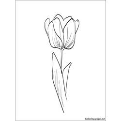 Disegno da colorare: Tulipano (Natura) #161688 - Pagine da Colorare Stampabili Gratuite