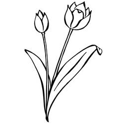 Disegno da colorare: Tulipano (Natura) #161697 - Pagine da Colorare Stampabili Gratuite