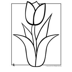 Disegno da colorare: Tulipano (Natura) #161699 - Pagine da Colorare Stampabili Gratuite
