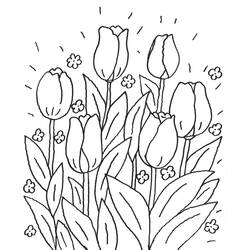Disegno da colorare: Tulipano (Natura) #161702 - Pagine da Colorare Stampabili Gratuite