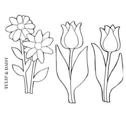 Disegno da colorare: Tulipano (Natura) #161704 - Pagine da Colorare Stampabili Gratuite