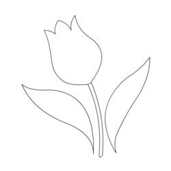 Disegno da colorare: Tulipano (Natura) #161710 - Pagine da Colorare Stampabili Gratuite