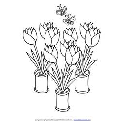 Disegno da colorare: Tulipano (Natura) #161714 - Pagine da Colorare Stampabili Gratuite