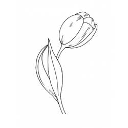 Disegno da colorare: Tulipano (Natura) #161732 - Pagine da Colorare Stampabili Gratuite