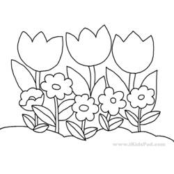 Disegno da colorare: Tulipano (Natura) #161758 - Pagine da Colorare Stampabili Gratuite