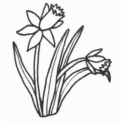 Disegno da colorare: Tulipano (Natura) #161759 - Pagine da Colorare Stampabili Gratuite