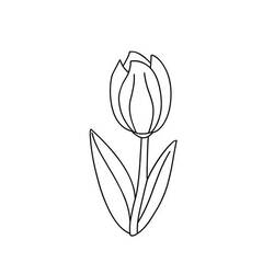 Disegno da colorare: Tulipano (Natura) #161767 - Pagine da Colorare Stampabili Gratuite