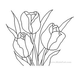 Disegno da colorare: Tulipano (Natura) #161768 - Pagine da Colorare Stampabili Gratuite