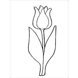 Disegno da colorare: Tulipano (Natura) #161791 - Pagine da Colorare Stampabili Gratuite