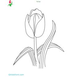 Disegno da colorare: Tulipano (Natura) #161797 - Pagine da Colorare Stampabili Gratuite