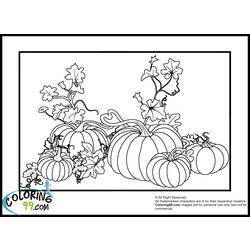 Disegno da colorare: Zucca (Oggetti) #166856 - Pagine da Colorare Stampabili Gratuite