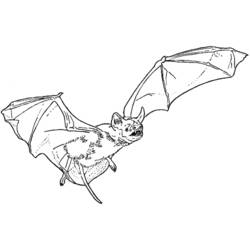 Disegno da colorare: Vampiro (Personaggi Fantasy e Avventura) #85965 - Pagine da Colorare Stampabili Gratuite