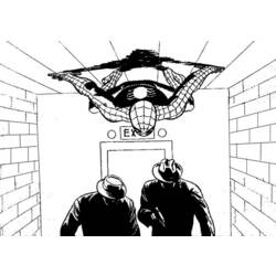 Disegno da colorare: Uomo Ragno (Supereroe) #78969 - Pagine da Colorare Stampabili Gratuite